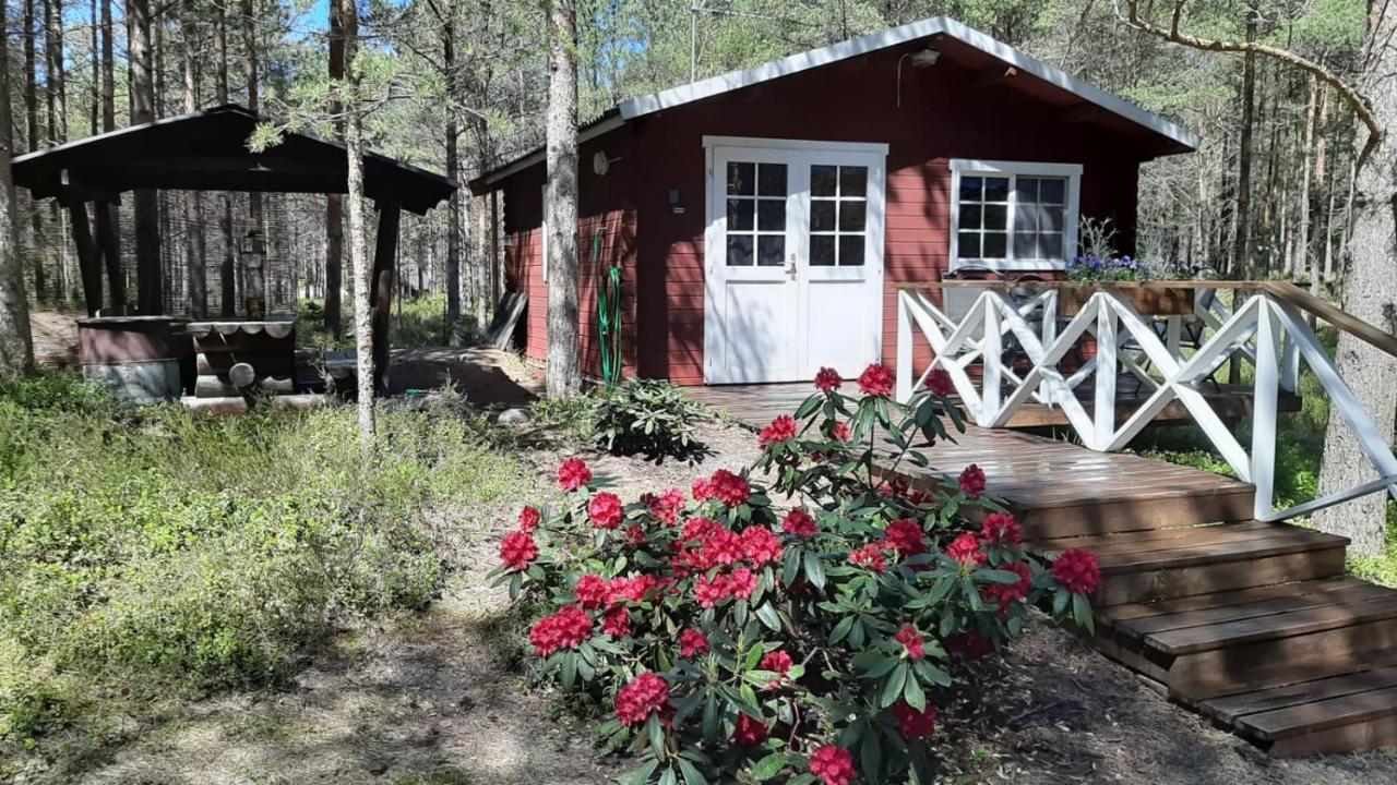 Nova Madise Guesthouse Rannaküla Esterno foto
