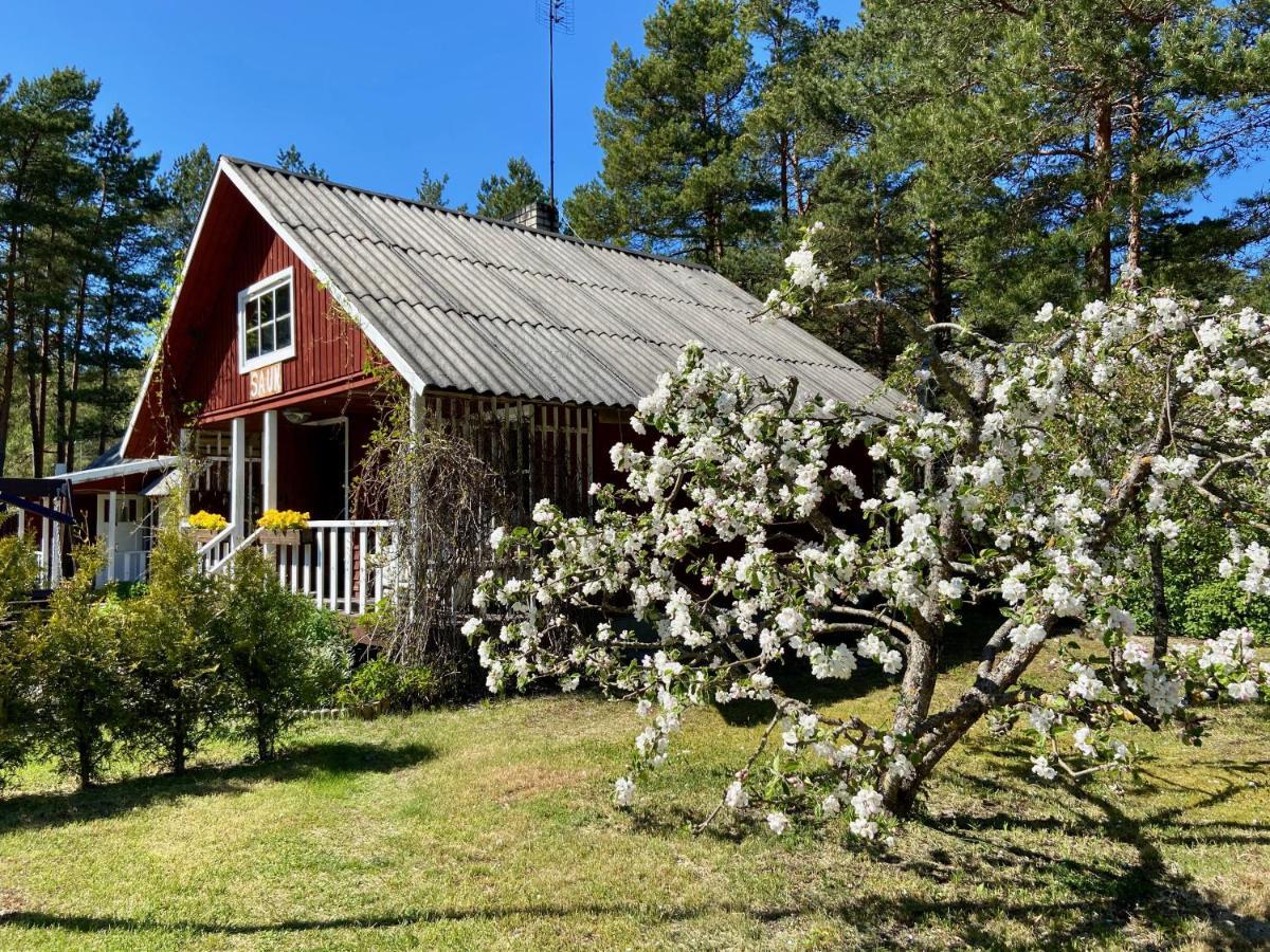 Nova Madise Guesthouse Rannaküla Esterno foto